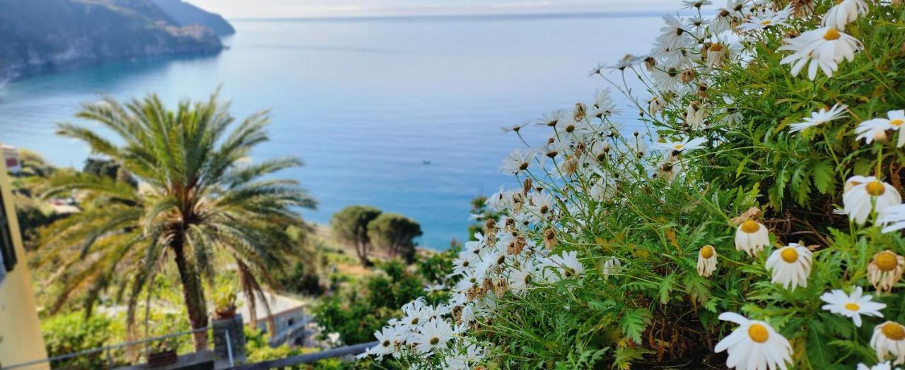 New Hanging Garden Corniglia Exterior foto